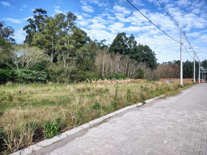 Terreno com vegetação e acesso pavimentado — Terreno à venda no Bela Vista Parque Residencial e comercial, Santa Maria