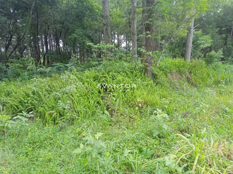 Terreno com mata nativa e árvores — Terreno à venda em Nossa Senhora do Perpétuo Socorro, Santa Maria/RS