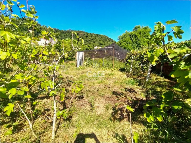 Terreno com plantações e construção — Terreno à venda em Nossa Senhora do Perpétuo Socorro, Santa Maria/RS
