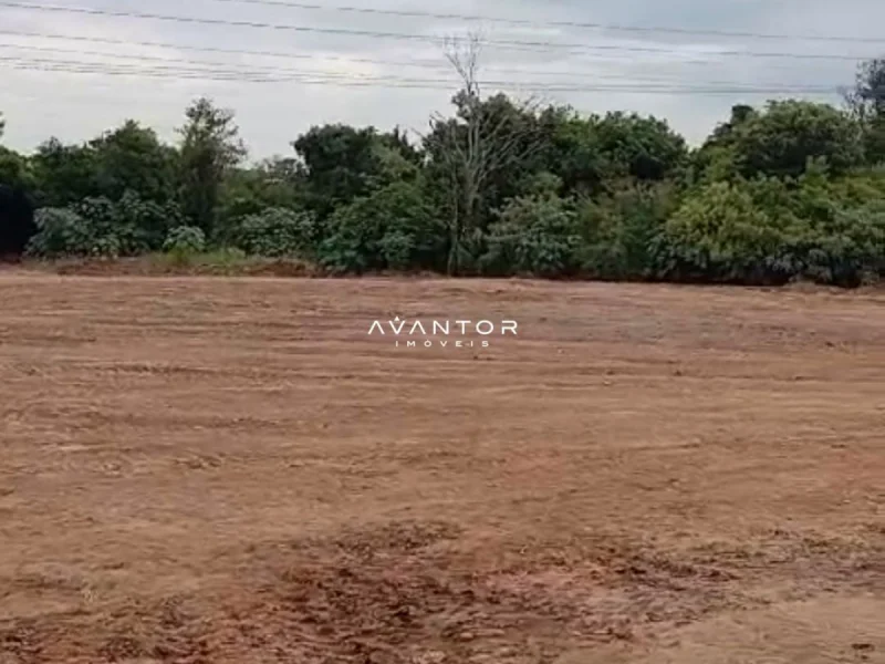 Terreno com vegetação ao fundo — Terreno à venda em Renascença, Santa Maria/RS