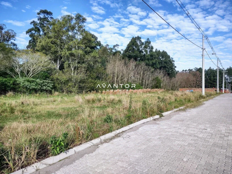 Terreno com áreas verdes e mata — Terreno à venda no Bela Vista Parque Residencial e comercial, em Camobi, Santa Maria/RS