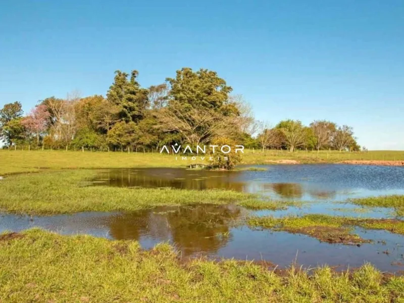 Terreno com lago e árvores — Campo à venda em Santa Flora, Santa Maria/RS