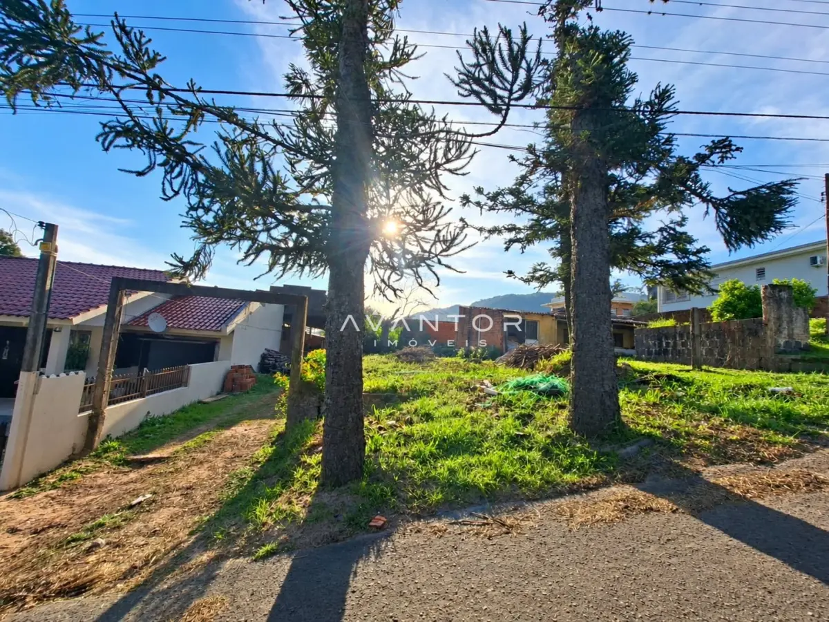 Terreno com árvores e casa ao fundo — Terreno à venda em Nossa Senhora do Perpétuo Socorro, Santa Maria/RS