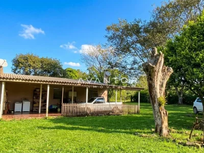 Fachada da casa com pátio e árvores — Campo com 3 quartos à venda em Estação Pinhal, Itaara/RS