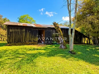 Fachada da casa com pátio e árvores — Campo com 3 quartos à venda em Estação Pinhal, Itaara/RS