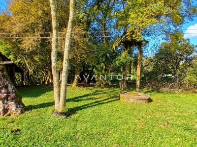 Terreno com árvores frutíferas — Campo com 3 quartos à venda em Estação Pinhal, Itaara/RS