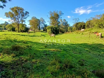 Terreno com pastagem e árvores — Campo com 3 quartos à venda em Estação Pinhal, Itaara/RS