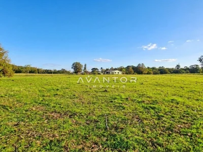 Terreno com área verde extensa — Campo com 3 quartos à venda em Estação Pinhal, Itaara/RS
