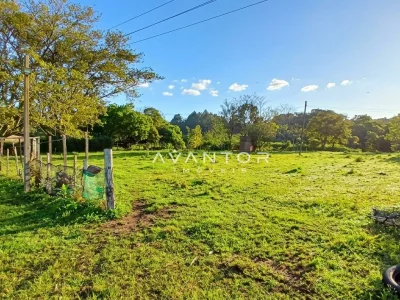 Terreno com área verde e vegetação — Campo com 3 quartos à venda em Estação Pinhal, Itaara/RS