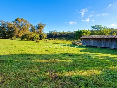 Terreno com pasto e galpões — Campo com 3 quartos à venda em Estação Pinhal, Itaara/RS