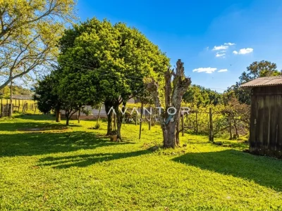 Pátio com árvores frutíferas e gramado — Campo com 3 quartos à venda em Estação Pinhal, Itaara/RS
