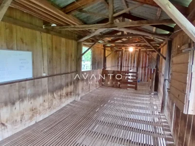 Galpão ou área interna com estrutura de madeira — Campo com 3 quartos à venda em Estação Pinhal, Itaara/RS