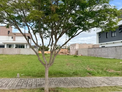Terreno com árvores e calçamento — Terreno à venda no Cidade Universitária, em Camobi, Santa Maria/RS