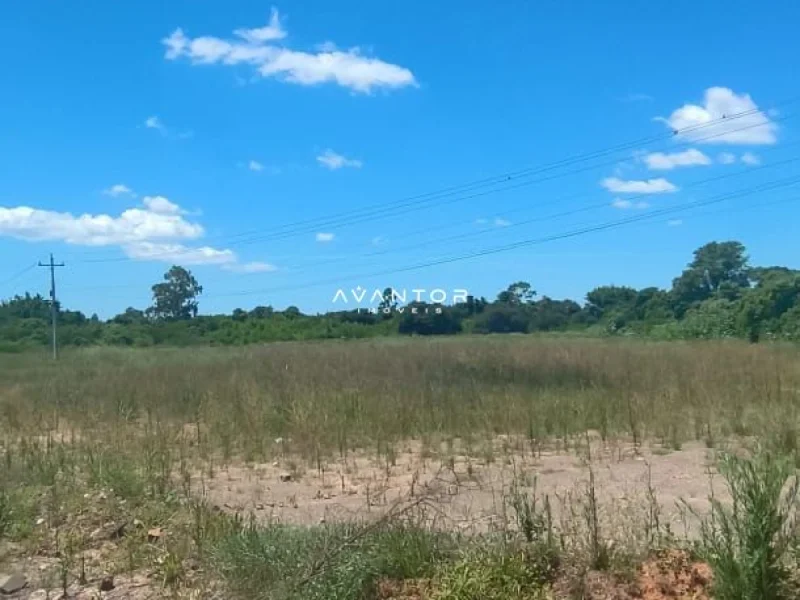 Terreno com vegetação natural — Terreno à venda em Renascença, Santa Maria/RS