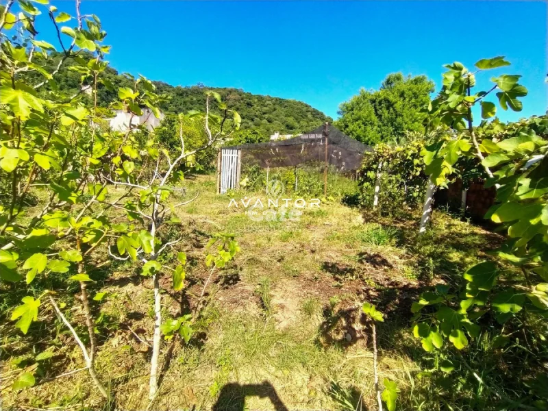 Terreno com plantação e construção — Terreno à venda em Nossa Senhora do Perpétuo Socorro, Santa Maria/RS